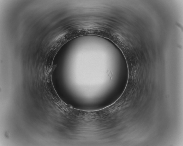 X0000097301062200802151433