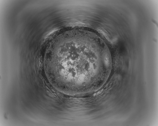 X0000097301063200802151433
