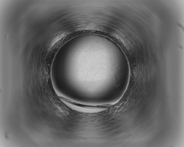 X0000097301064200802151433
