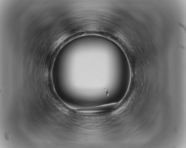 X0000097301065200802151433