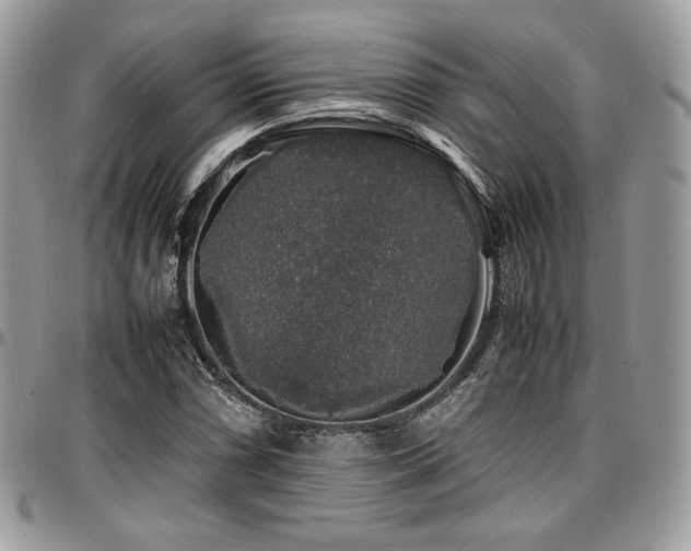 X0000097301066200802151433