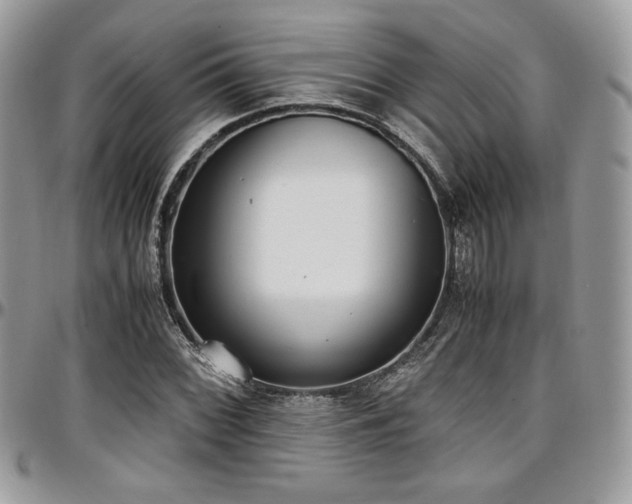 X0000097301068200802151433