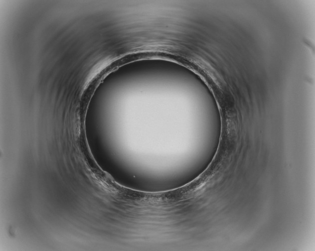 X0000097301069200802151433