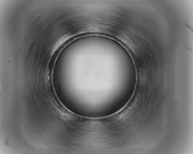 X0000097301070200802151433