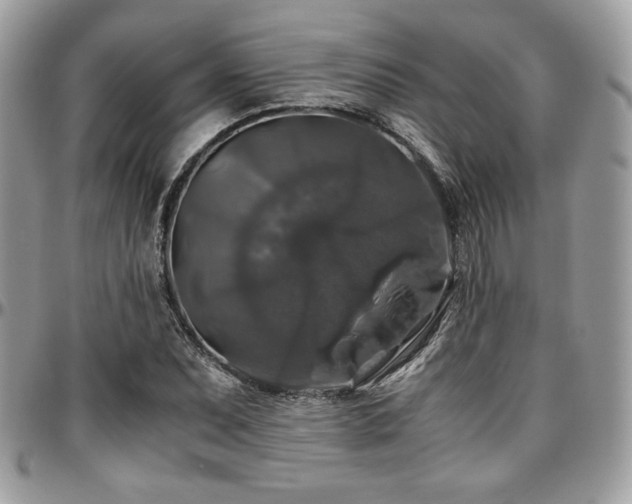 X0000097301071200802151433