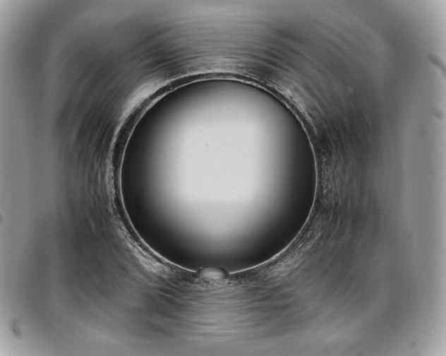 X0000097301072200802151433