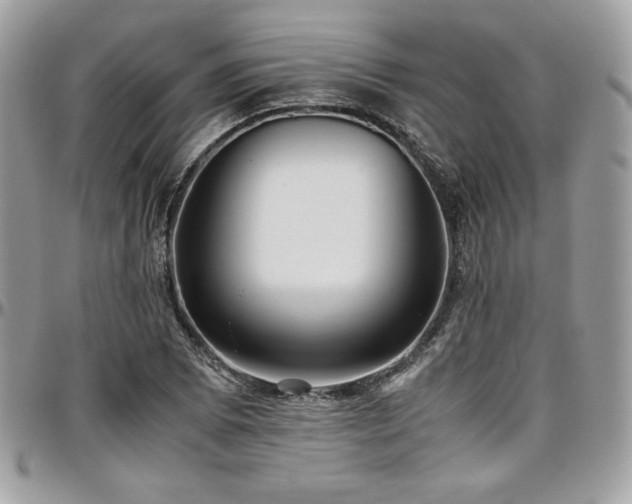 X0000097301073200802151433