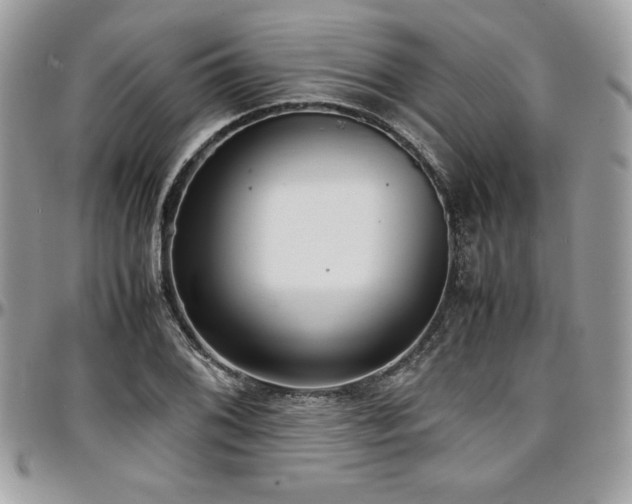 X0000097301076200802151433