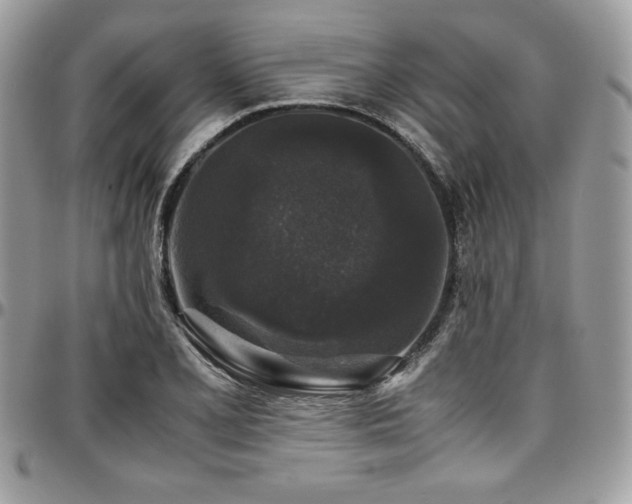 X0000097301077200802151433