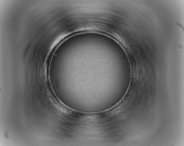 X0000097301078200802151433