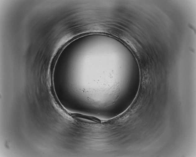 X0000097301080200802151433