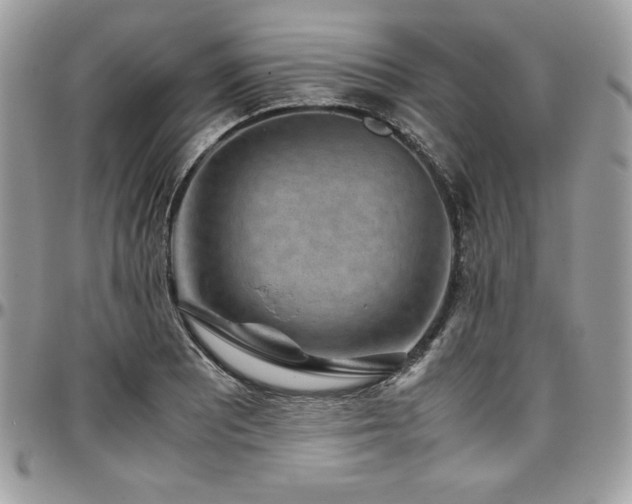 X0000097301081200802151433