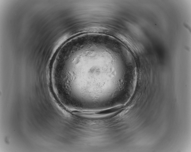 X0000097301083200802151433