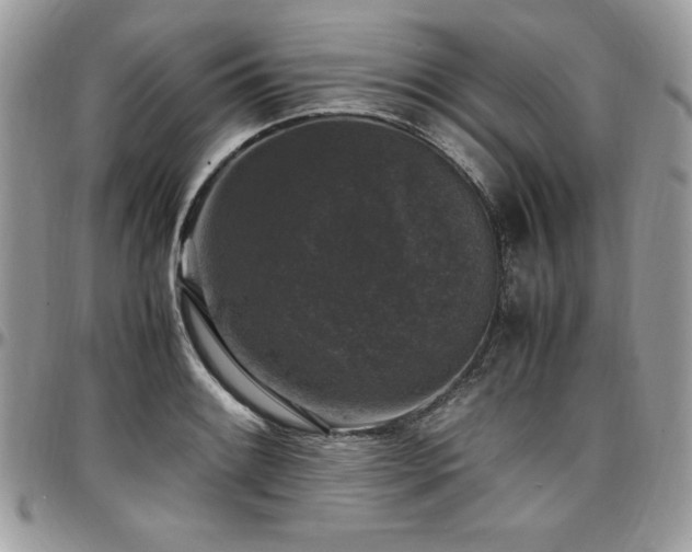 X0000097301084200802151433