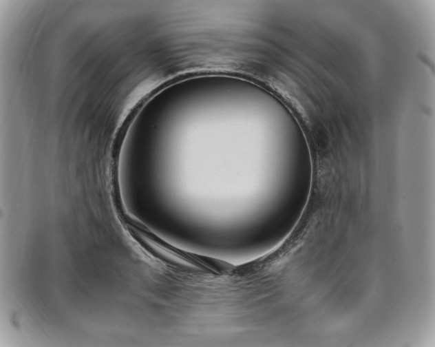 X0000097301085200802151433