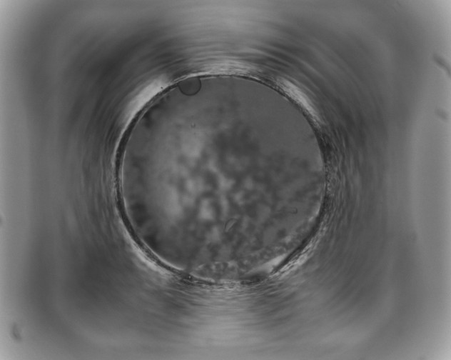 X0000097301087200802151432