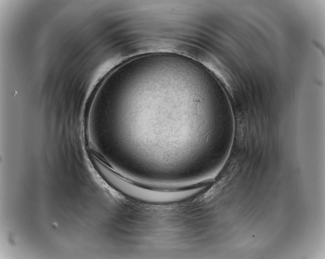 X0000097301088200802151432