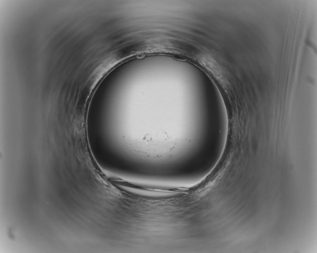 X0000097301089200802151432