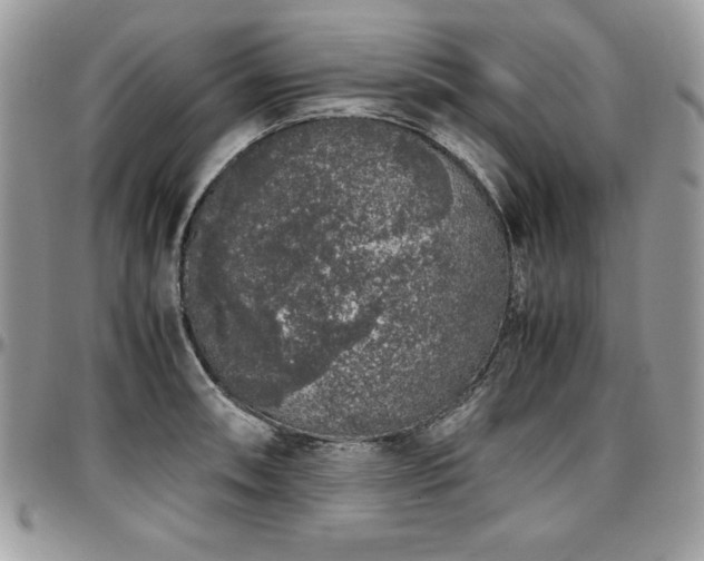 X0000097301090200802151432