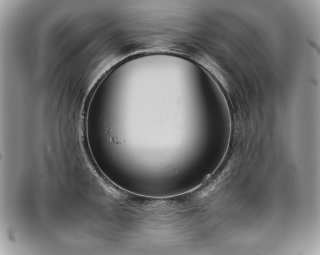 X0000097301093200802151432
