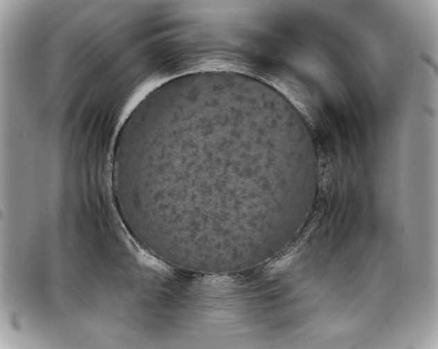 X0000097301094200802151432