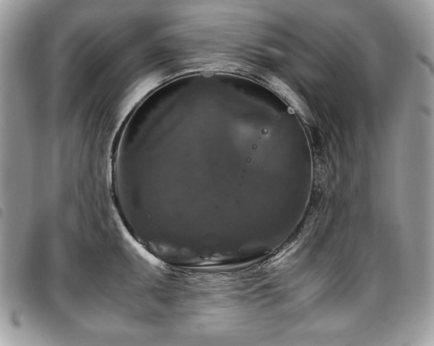 X0000097301095200802151432