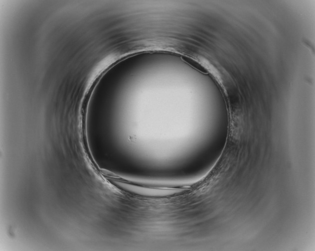 X0000097301096200802151432