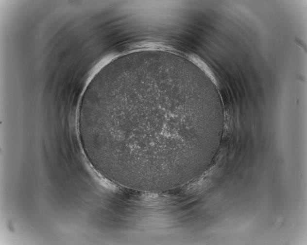 X0000097301098200802151432
