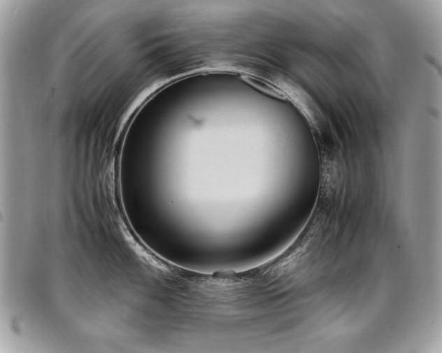 X0000097301100200802151432