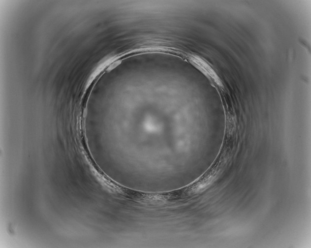 X0000097301101200802151432