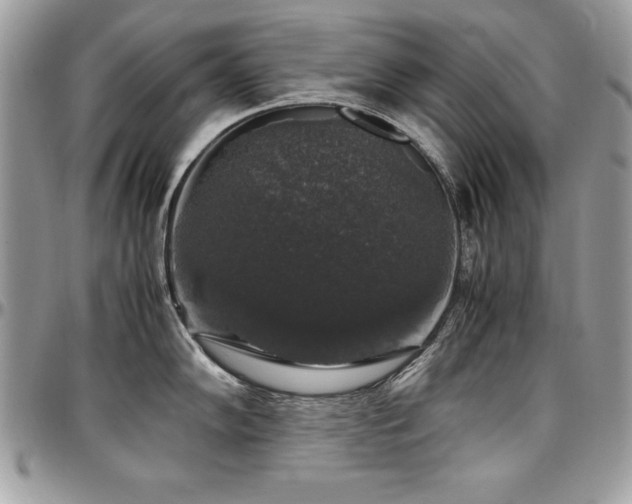 X0000097301102200802151432