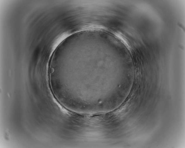 X0000097301103200802151432