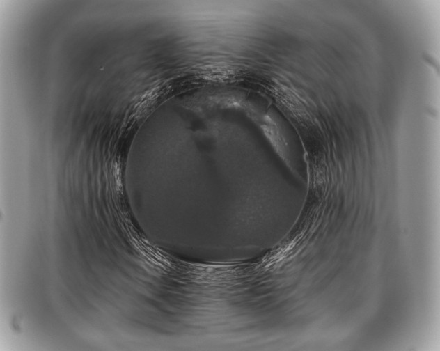 X0000097301106200802151432