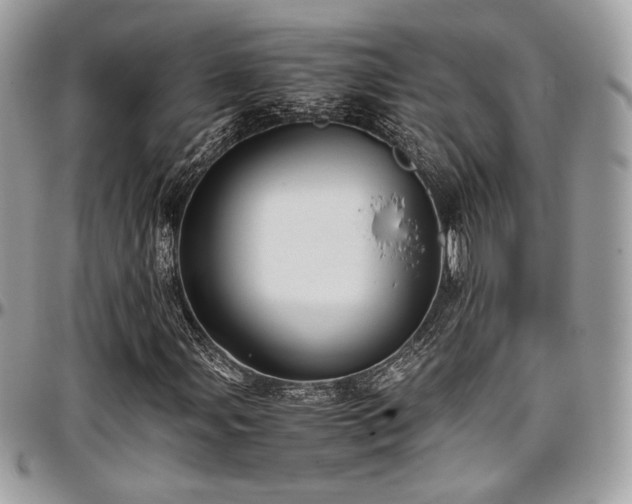X0000097301107200802151432