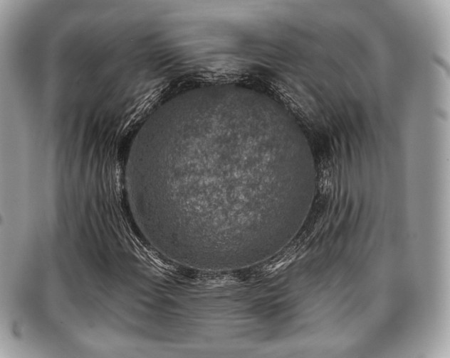 X0000097301108200802151432