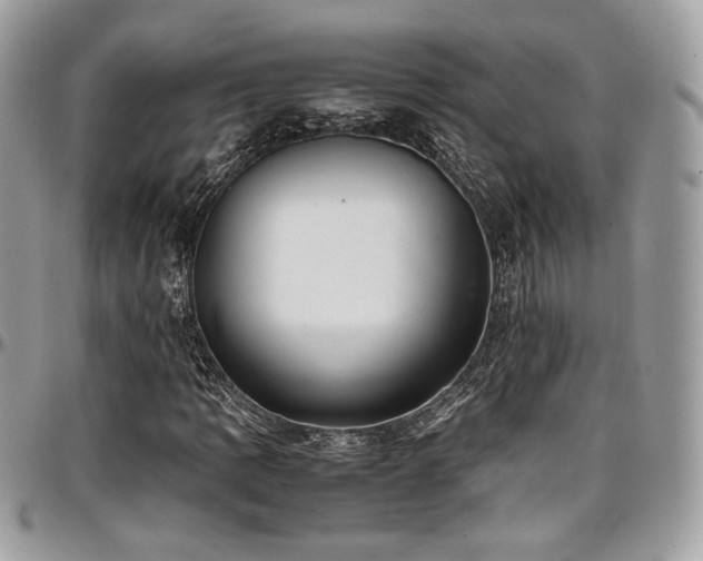 X0000097301109200802151432