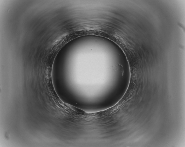 X0000097301110200802151432