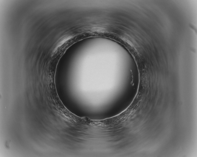 X0000097301112200802151432