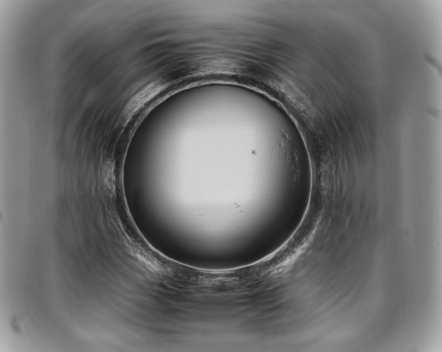 X0000097301113200802151432