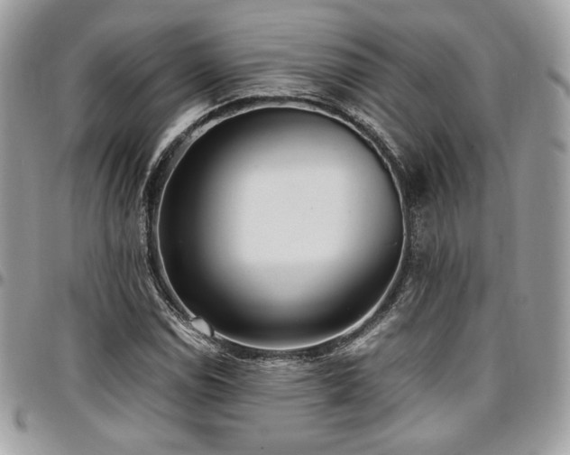X0000097301114200802151432