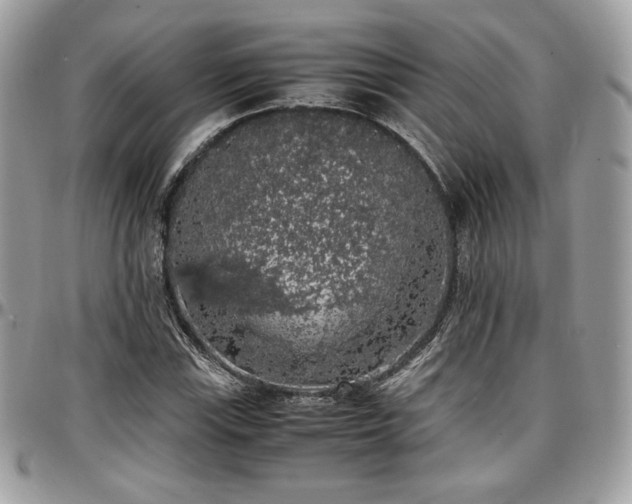 X0000097301115200802151432