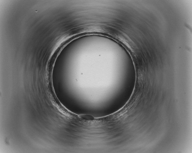 X0000097301116200802151432