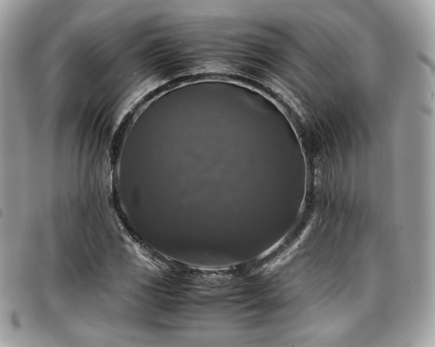 X0000097301117200802151432