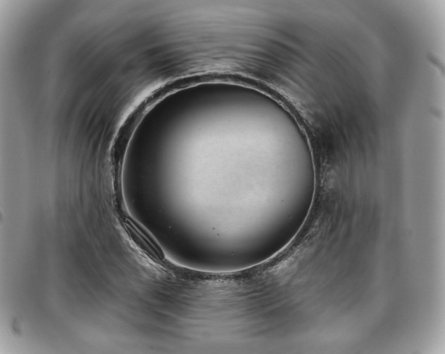X0000097301118200802151432