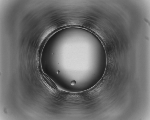 X0000097301119200802151432