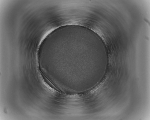 X0000097301120200802151432