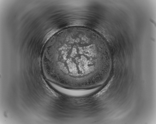 X0000097301121200802151432