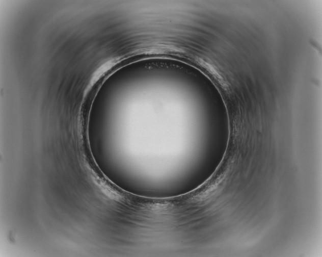 X0000097301122200802151432