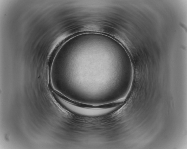 X0000097301123200802151432
