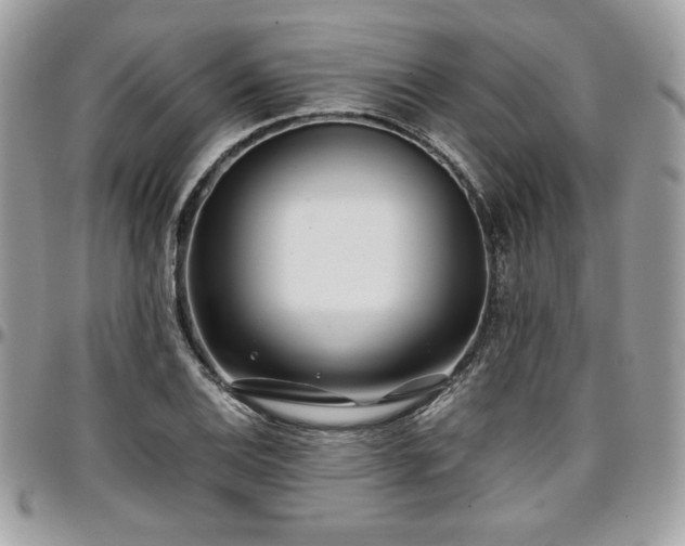 X0000097301124200802151432